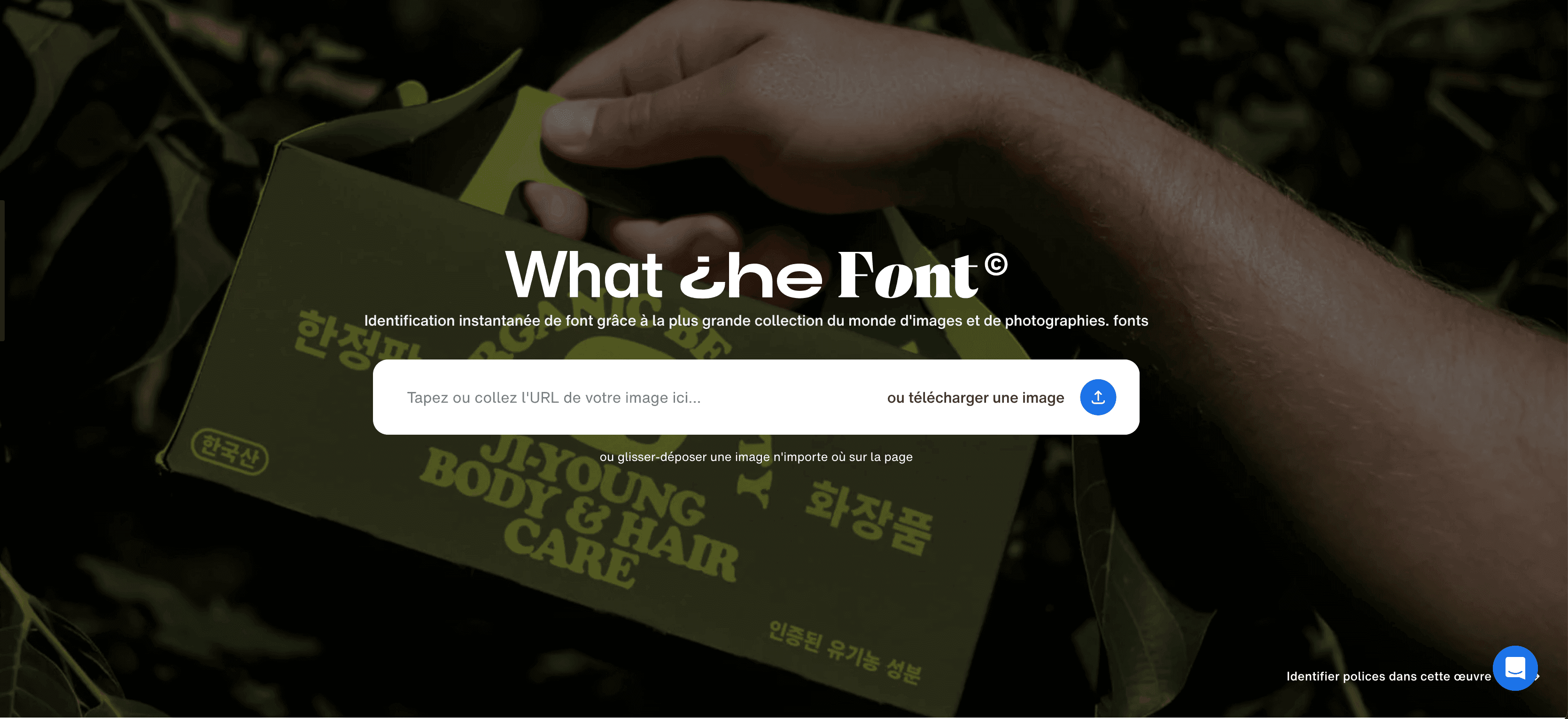 WhatTheFont WhatTheFont